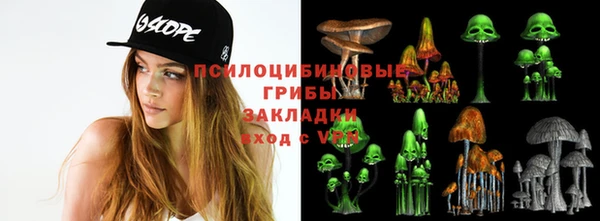 стаф Богданович