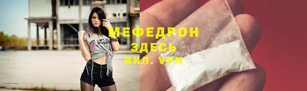 стаф Богданович