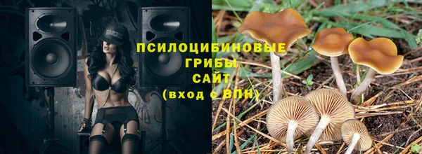 дурь Беломорск