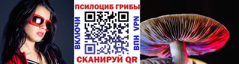 купить закладку МЕГА ссылка Псилоцибиновые грибы прущие грибы Ворсма